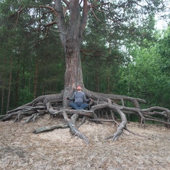 Сергей , Санкт-Петербург