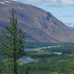 Ренат Шайбеков