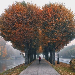 Светлана Зорина, Санкт-Петербург