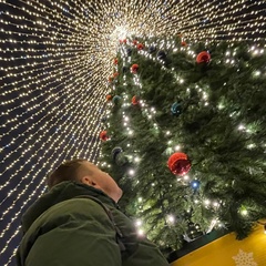 Рома Заборовский, Санкт-Петербург