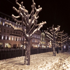 Марина Гусева, Санкт-Петербург