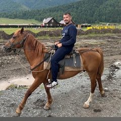 Павел Цибульников, 39 лет, Новосибирск