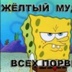 Йо Асакура, 36 лет