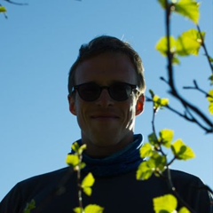 Евгений Альтшулер, 38 лет, Москва