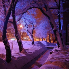 Тока Косай, 43 года, Жанаозен
