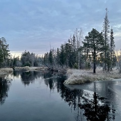 Салман Булгеев, Ноябрьск