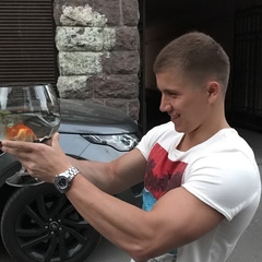 Дмитрий Веселов, 38 лет, Санкт-Петербург
