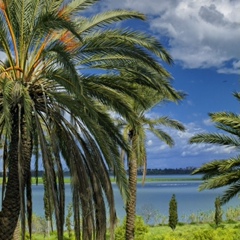 Гламурная Чеченка, Тюмень