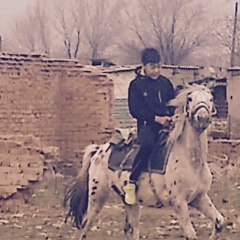 Асылжан Ракишев, Аягоз