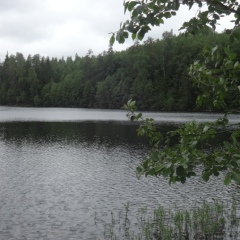 Петр Маргвелашвили, Гатчина