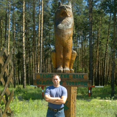 Владимир Грезнев, Палласовка