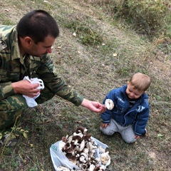 Макс Сорокин, Волгоград