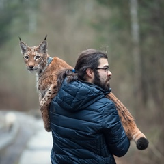 Евгений Черномазов, Санкт-Петербург