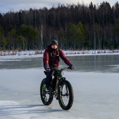 Сергей Дмитриев, 36 лет