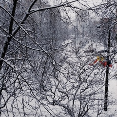 Любовь Власенкова, 49 лет, Санкт-Петербург