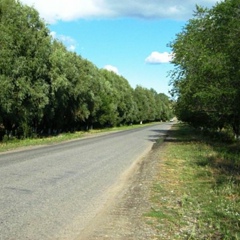 Дмитрий Зырянов, Усть-Каменогорск