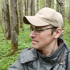 Петр Митрофанов, 40 лет, Псков