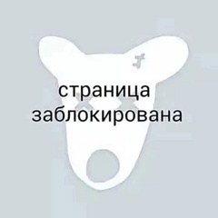 Страница Заблокирована, Воронеж