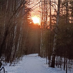 Александр Коротких, 42 года, Рязань