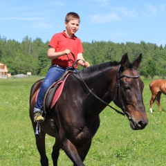 Вадим Шмыркин, 47 лет, Санкт-Петербург