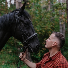 Сергей Решилов, 38 лет, Новосибирск