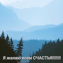 Наталья Вержиковская, 47 лет, Санкт-Петербург