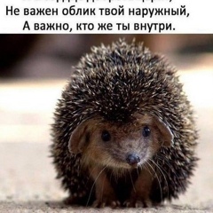 Gulya R, Санкт-Петербург