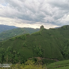 George Hagi, Giresun