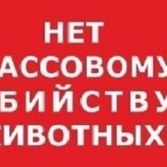 Анастасия Рябова, 44 года, Нахабино