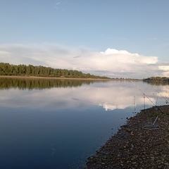 Антон Замахов, Москва