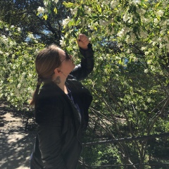 Яна Трошина, 36 лет, Омск